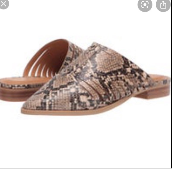 Bogo Snakeskin Mules NWT in box SOLD OUT - Picture 6 of 7